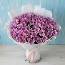 Букет цветов из:  Хризантемы в Заполярном Республики Коми