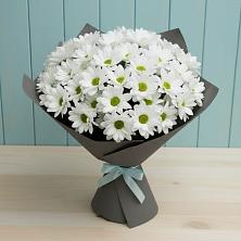 Букет цветов из:  Хризантемы в Заполярном Республики Коми