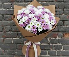 Букет цветов из:  Хризантемы в Заполярном Республики Коми