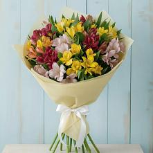 Букет цветов из:  Альстромерии в Заполярном Республики Коми