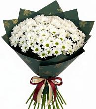 Букет цветов из:  Хризантемы в Заполярном Республики Коми