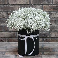 Цветочная композиция из Гипсофила в шляпной коробке #REPLACE_PRED# Заполярном Республики Коми