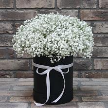 Цветочная композиция из Гипсофила в шляпной коробке в Заполярном Республики Коми