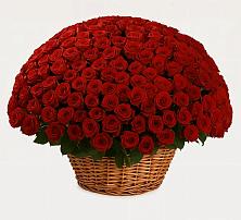 Премиум букет из: Розы в Заполярном Республики Коми